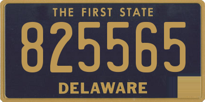 DE license plate 825565