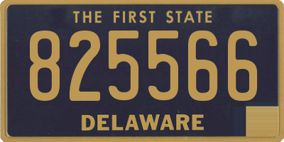 DE license plate 825566