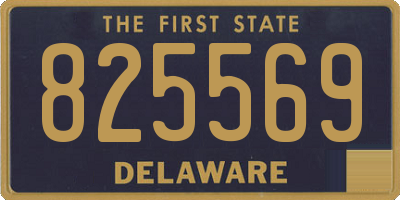 DE license plate 825569