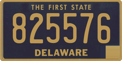 DE license plate 825576