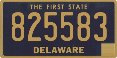 DE license plate 825583