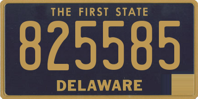 DE license plate 825585