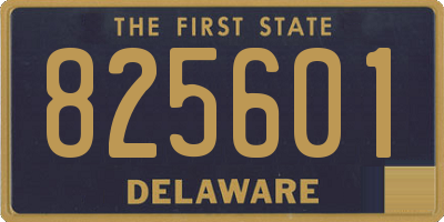 DE license plate 825601