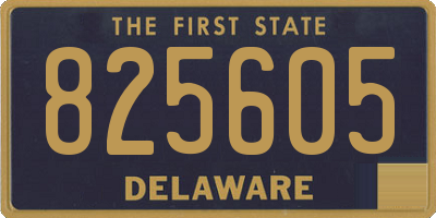 DE license plate 825605