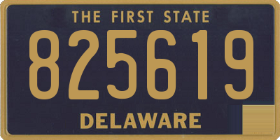 DE license plate 825619