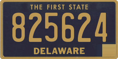 DE license plate 825624