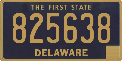 DE license plate 825638