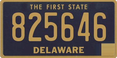 DE license plate 825646