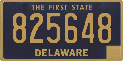 DE license plate 825648