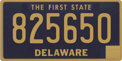 DE license plate 825650