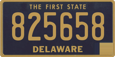 DE license plate 825658