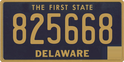 DE license plate 825668