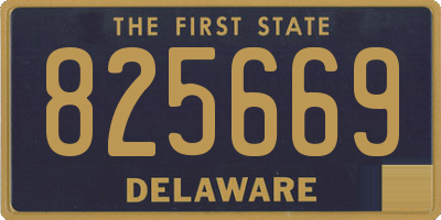 DE license plate 825669