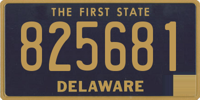 DE license plate 825681