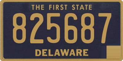 DE license plate 825687
