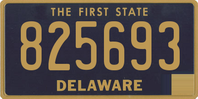 DE license plate 825693