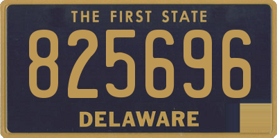 DE license plate 825696
