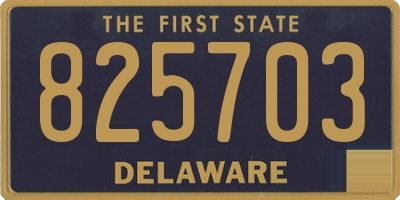 DE license plate 825703