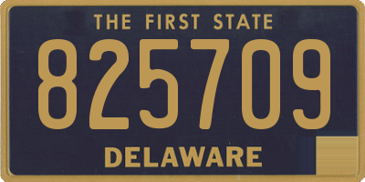 DE license plate 825709