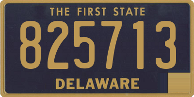 DE license plate 825713
