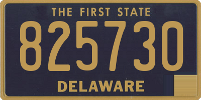 DE license plate 825730