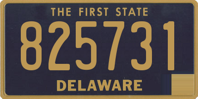 DE license plate 825731