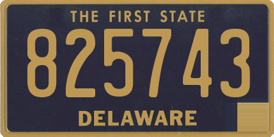DE license plate 825743