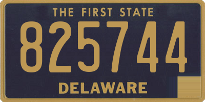 DE license plate 825744