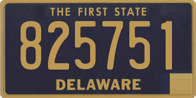 DE license plate 825751