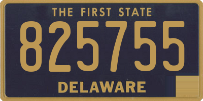 DE license plate 825755