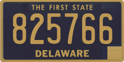 DE license plate 825766
