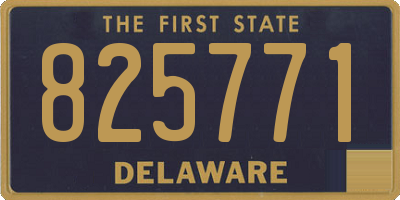 DE license plate 825771