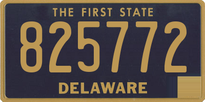 DE license plate 825772