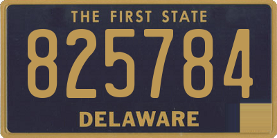 DE license plate 825784