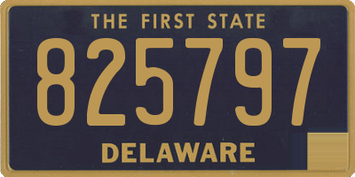 DE license plate 825797