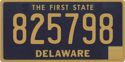 DE license plate 825798