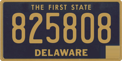DE license plate 825808