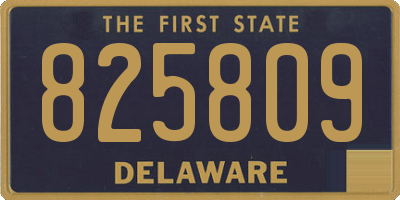 DE license plate 825809