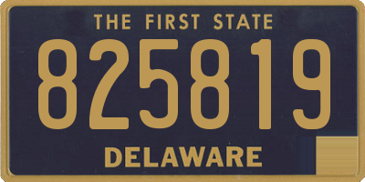 DE license plate 825819