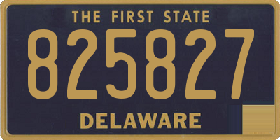 DE license plate 825827
