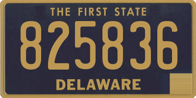 DE license plate 825836