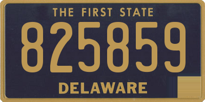 DE license plate 825859