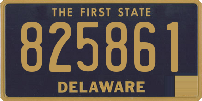 DE license plate 825861