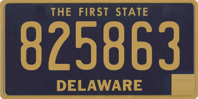 DE license plate 825863