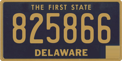 DE license plate 825866