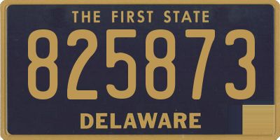 DE license plate 825873
