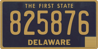 DE license plate 825876