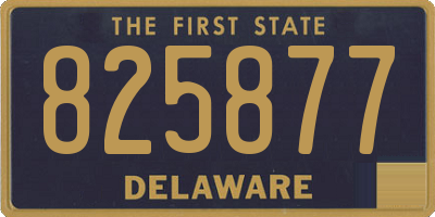 DE license plate 825877