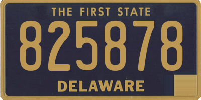 DE license plate 825878