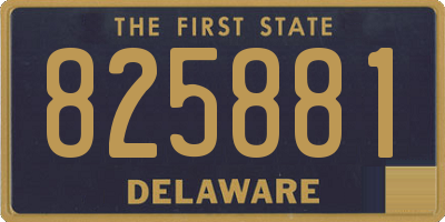 DE license plate 825881